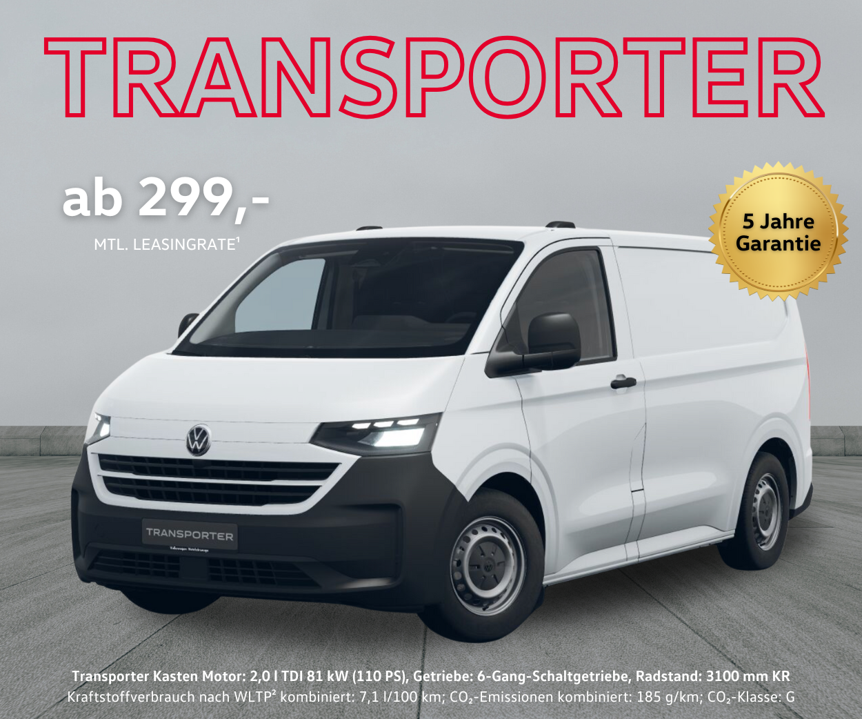 Transporter Kasten